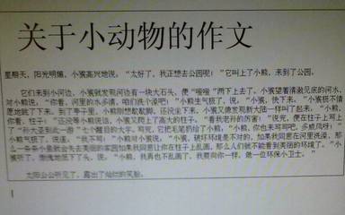 我喜欢小动物的二年级作文