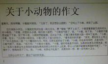 二年级作文我喜欢的小动物