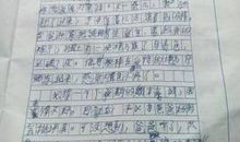 什么的滋味不好受作文