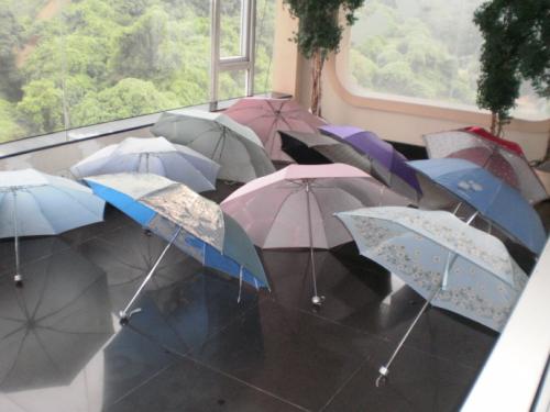 那把雨伞很暖和