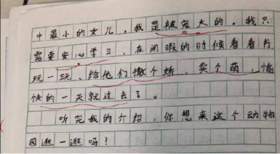 小学作文小动物园