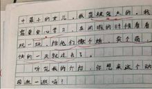 小学生作文小小动物园