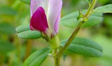 难忘的人生季节