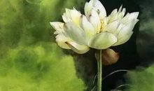 宽容是一种修行