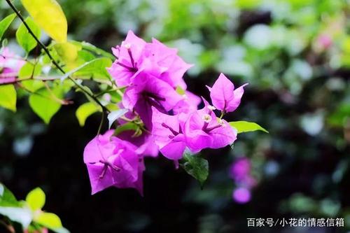 珍惜健康