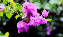 珍惜所拥有的健康