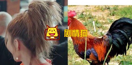 各种发型