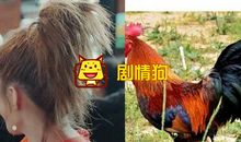 五花八门的发型