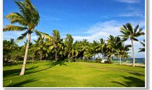 我的家乡——海南