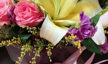 鲜花送给可爱的人