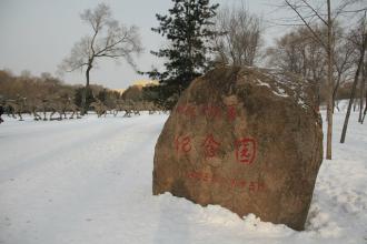 享受雪的感觉很好
