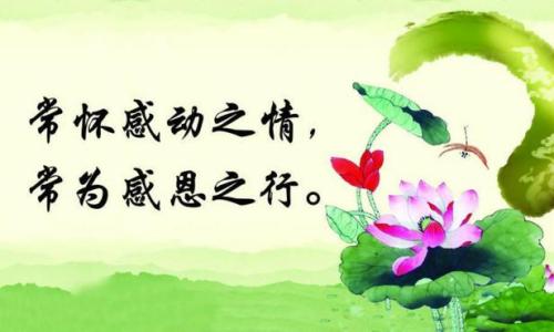 感人的东西