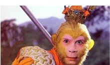 我家的“孙悟空”