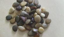 我愿做一颗小石子