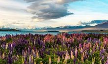 生活原来这样美丽