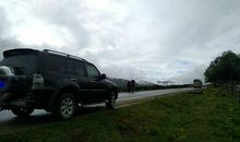 我不由地停下了脚步