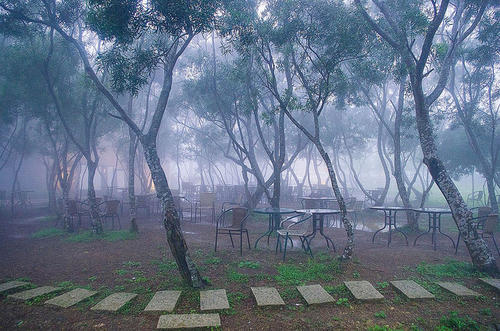 雨中的舞会