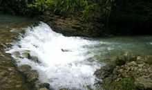 聆听大自然的声音