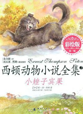 关于阅读《西顿动物小说全集》的思考