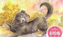 读《西顿动物小说全集》有感