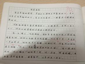 我的家作文300字
