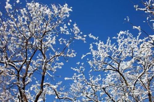 600个单词描述雪