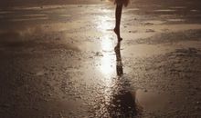 风雨中我学会坚强