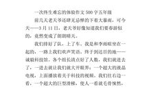 记一次难忘的经历