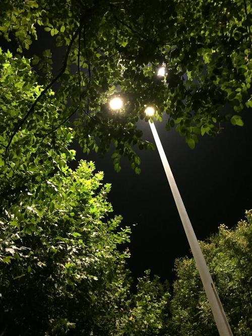 我喜欢夏夜