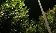 我喜欢夏天的夜晚