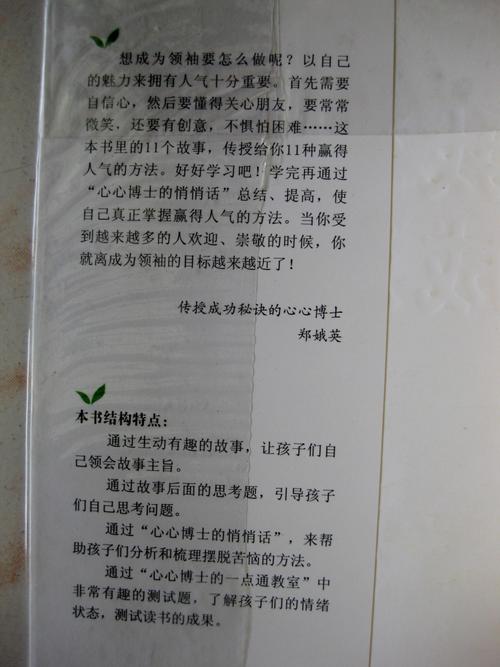 我想成为领导者