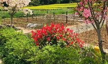 人间最美是春天