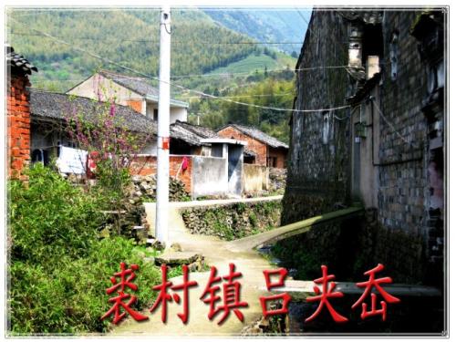 20年回国