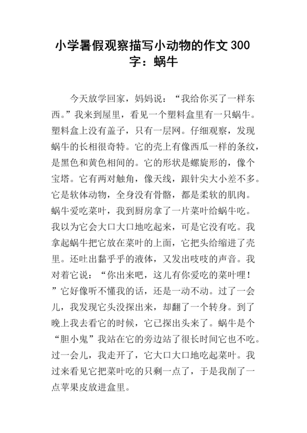 我和一个小动物组成300个单词