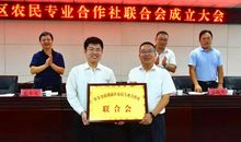 参观华丰农业合作社