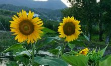 我的家乡在桓仁