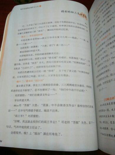 你是我的书作文800字