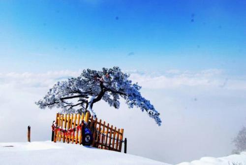 雪世界
