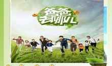 我最喜欢的电视节目