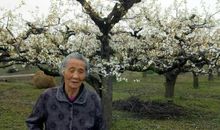 那段春风拂面的回忆