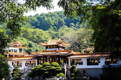 攸县湖植物园