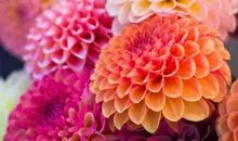 你曾拨动我的心弦