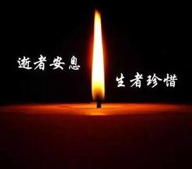 欣赏强者