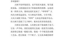 梅花借物喻人小练笔