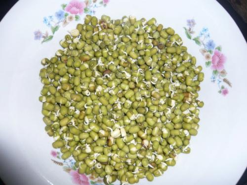 生豆芽
