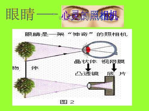 眼睛和眼镜