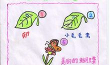 毛毛虫变形记