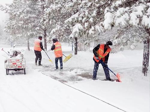 回到雪中