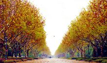 绚丽多彩的校园