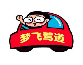 带领你飞